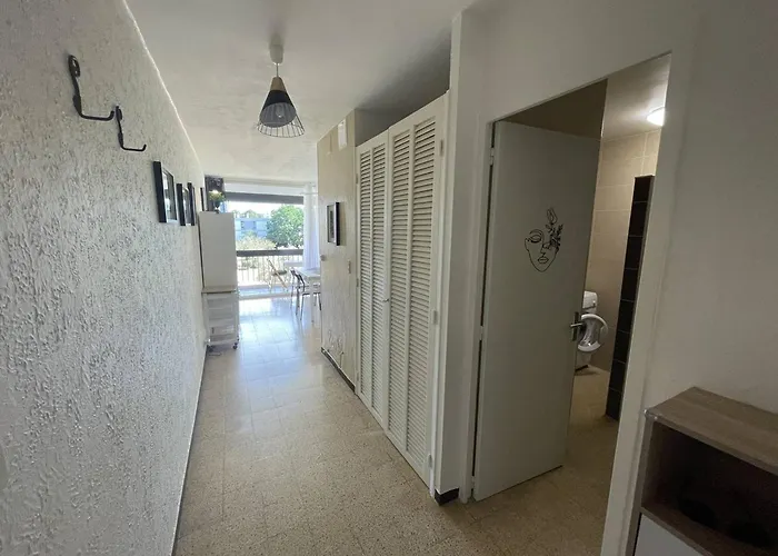 T2 Renove, 4 Couchages, Proche Et Port, Balcon, Parking Securise, St-cyprien - Fr-1-106-55 Apartment