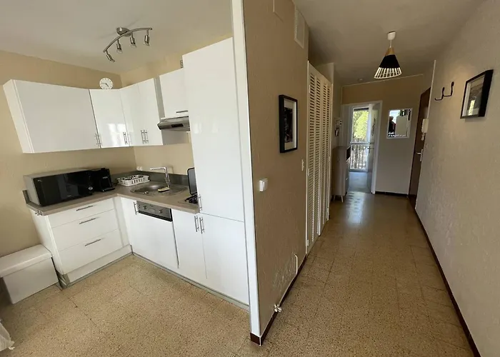 Apartment T2 Renove, 4 Couchages, Proche Et Port, Balcon, Parking Securise, St-cyprien - Fr-1-106-55