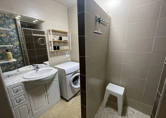 T2 Renove, 4 Couchages, Proche Et Port, Balcon, Parking Securise, St-cyprien - Fr-1-106-55 *
