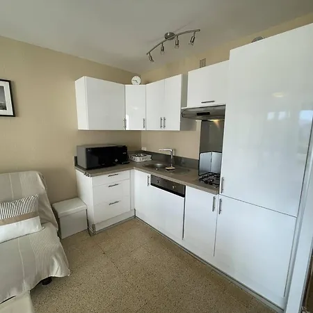 T2 Renove, 4 Couchages, Proche Et Port, Balcon, Parking Securise, St-cyprien - Fr-1-106-55 * Saint-Cyprien (Pyrenees-Orientales)