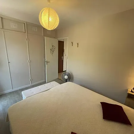 Apartment T2 Renove, 4 Couchages, Proche Et Port, Balcon, Parking Securise, St-cyprien - Fr-1-106-55