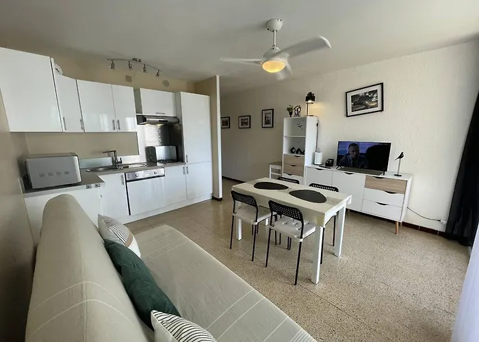 T2 Rénové, 4 Couchages, Proche Et Port, Balcon, Parking Sécurisé, St-cyprien - Fr-1-106-55 Appartement Saint-Cyprien (Pyrenees-Orientales)